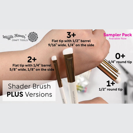 Waffle Flower Shader Brush 2+ 15 pk