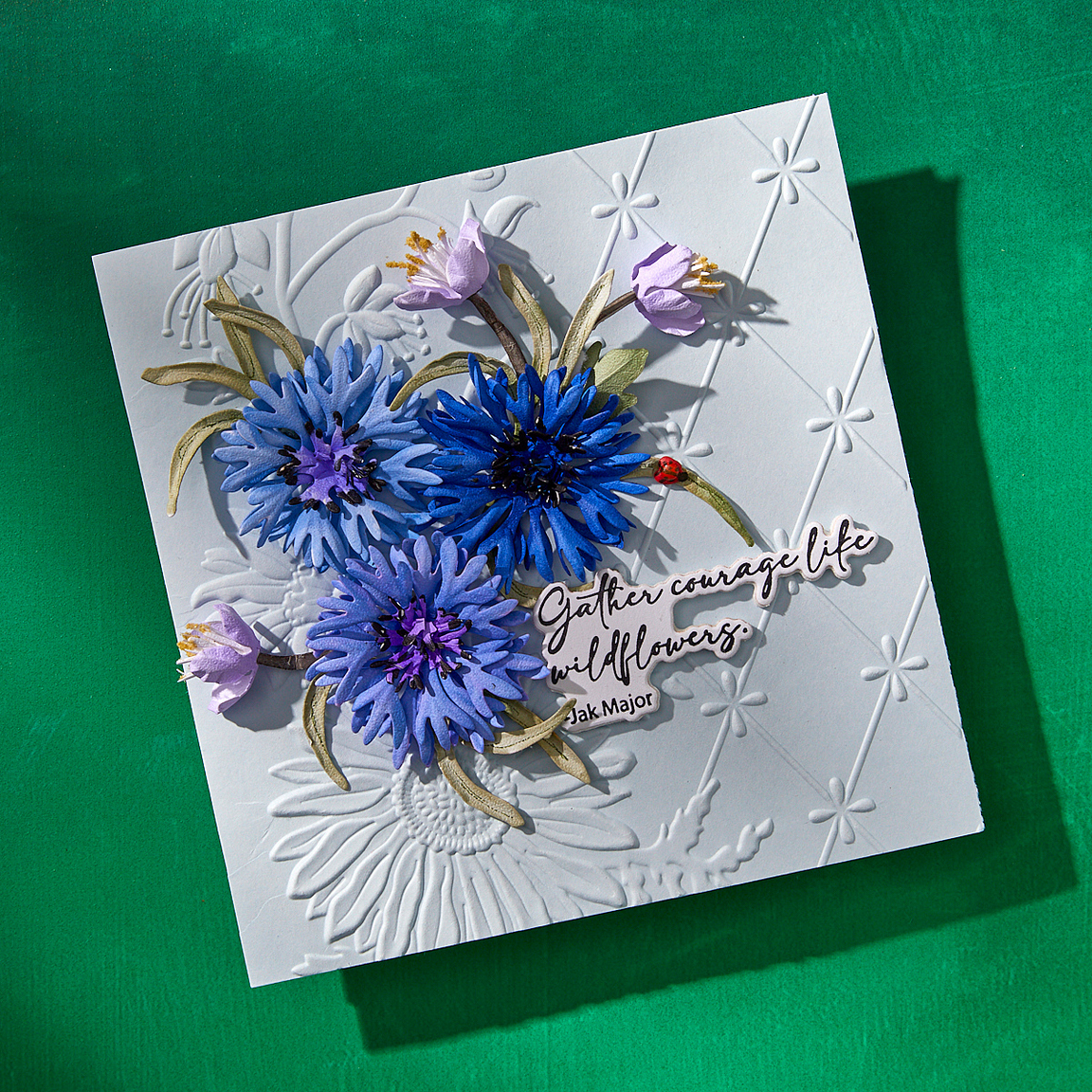 Spellbinders Wildly Beautiful 3D Embossing Folder - Through the Meadow Collection - Susan Tierney-Cockburn