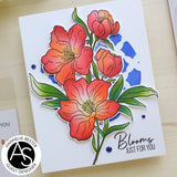 Alex Syberia Grateful for You Stamp, Die & Stencil Bundle