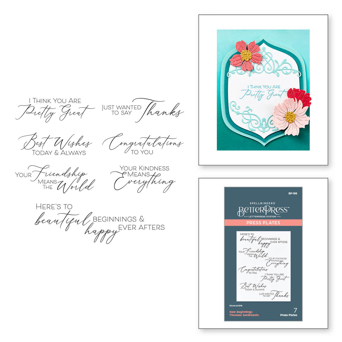 Spellbinders New Beginnings Timeless Sentiments Press Plates - Timeless Collection