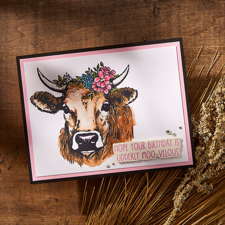 Spellbinders Clover BetterPress Plate & Die Set - Justine's Farm Collection - Justine Dvorak