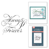 Spellbinders Copperplate Always & Forever BetterPress Plate - Copperplate On Your Wedding Day Collection - Paul Antonio