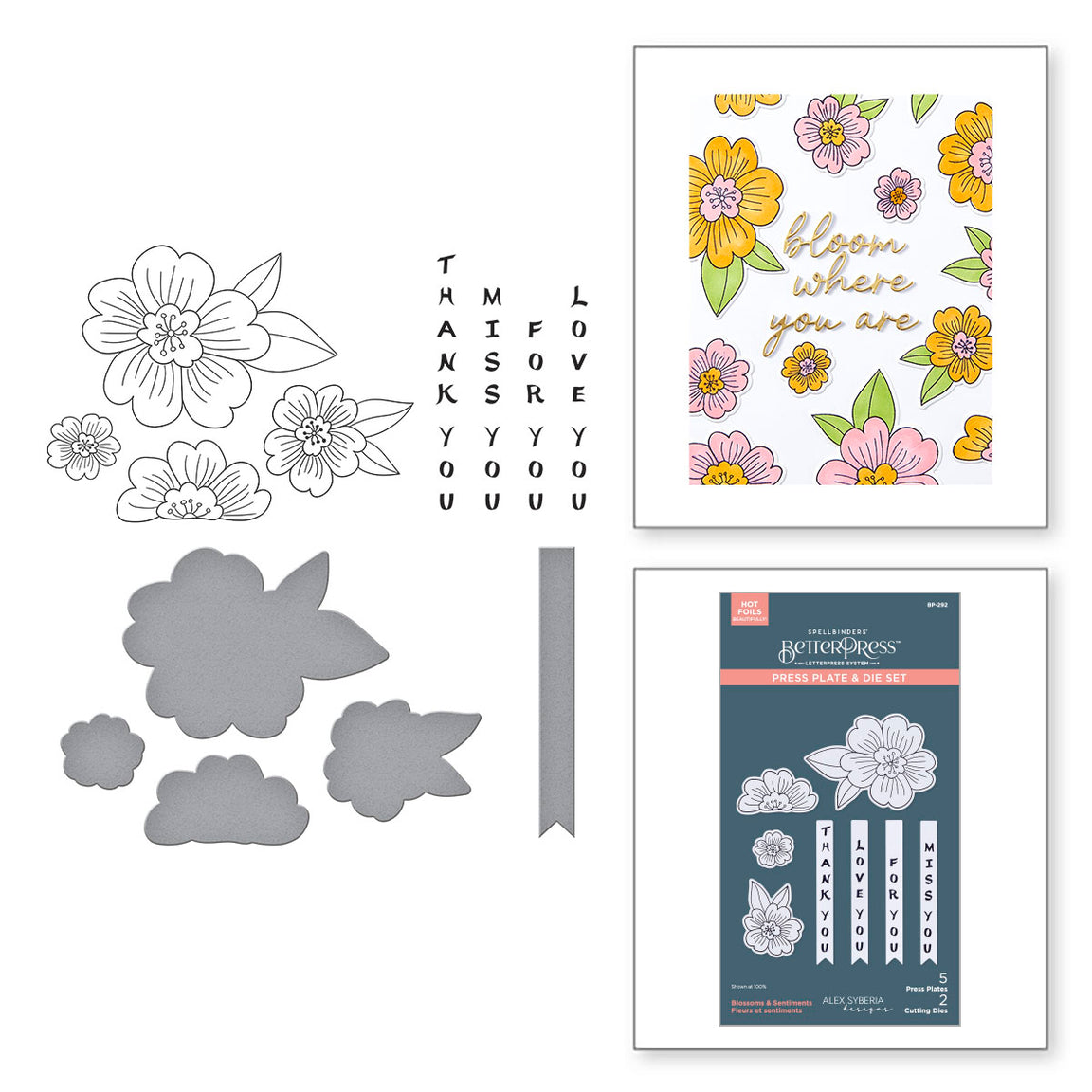 Spellbinders Blossoms & Sentiments BetterPress Plate & Die Set from the Spring in Kyoto Collection by Alex Syberia Designs