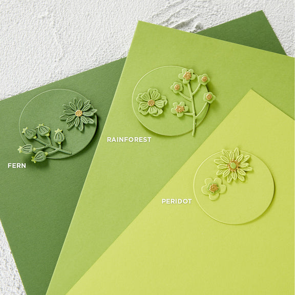 Spellbinders Fern Color Essentials Cardstock 8.5"x11" - 10 Pack