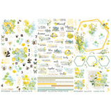 49 & Market Botanical Buzz Collection 6 x12 Rub-on Transfer Set