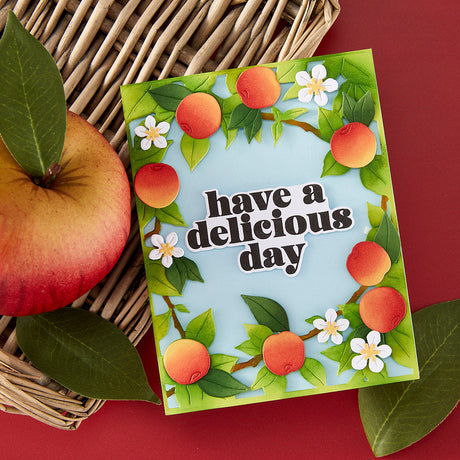 Spellbinders Hero Arts Apple Frame Die & Stencil Bundle from the I Pick You Collection
