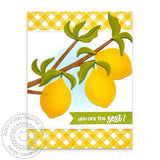 Sunny Studio Stamps Fresh Lemon Dies