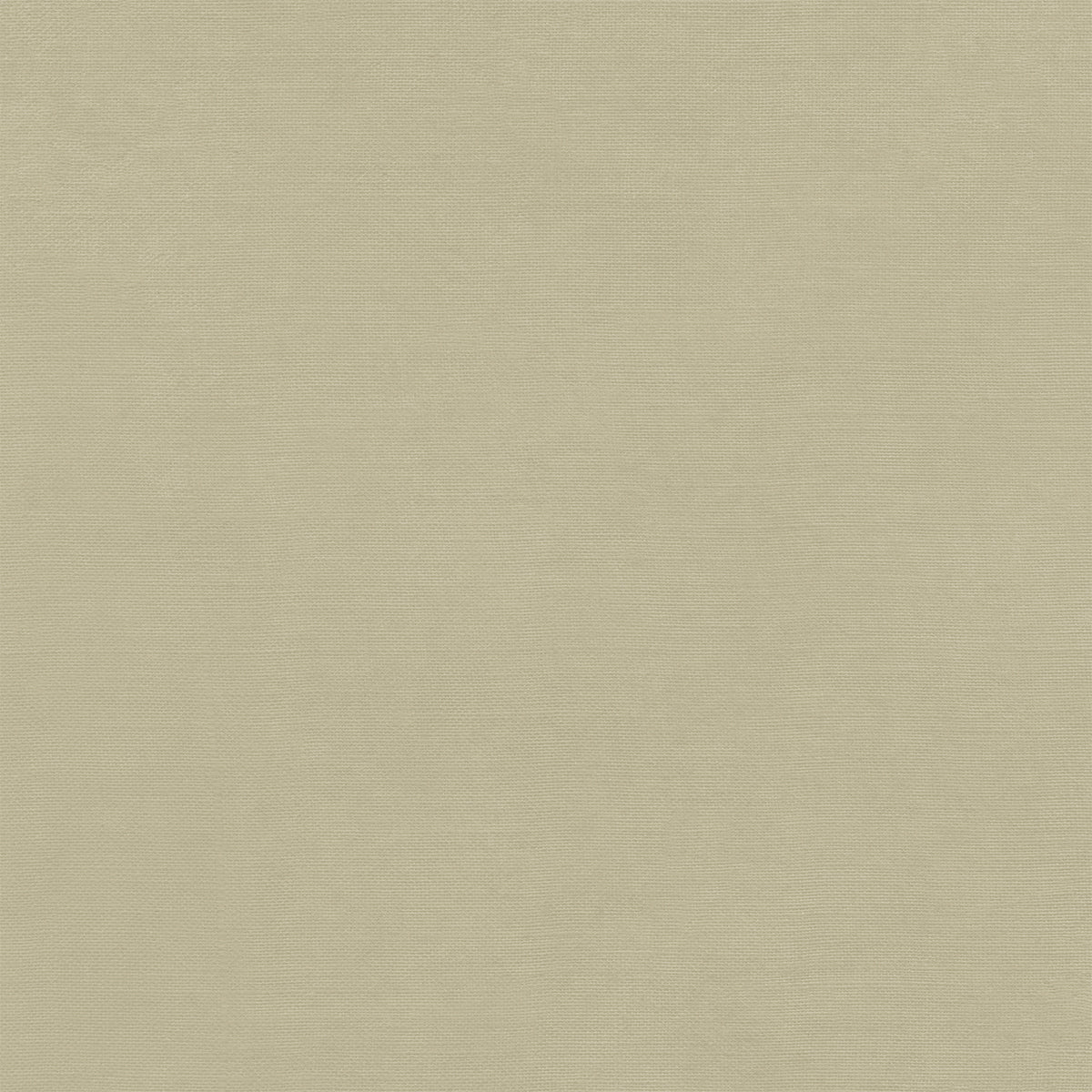 49 and Market Nature’s Haven – 12 x12 Solids Collection Pack