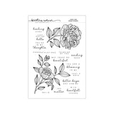 Concord & 9th Long Line Roses Bundle by Kristina Werner