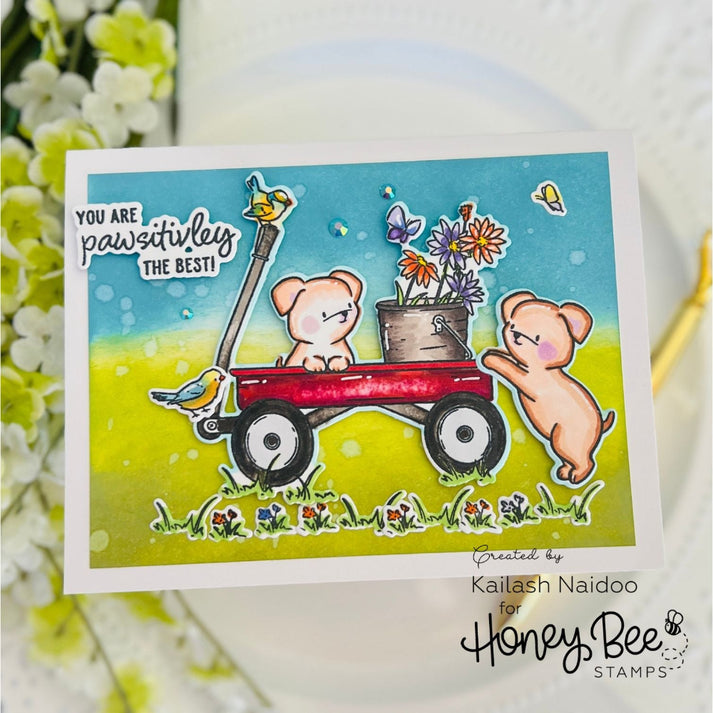 Honey Bee Stamps Dog Gone Amazing 6"x 8" Clear Stamp Set & Coordinating Honey Cuts Bundle