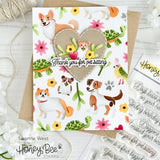 Honey Bee Stamps Pet Friends Stencil & Coordinating Honey Cuts Bundle