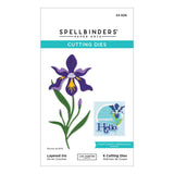 Spellbinders Layered Iris Etched Dies - Spotlight Frames and Florals Collection