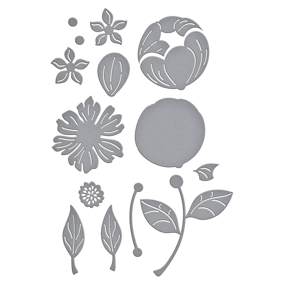 Spellbinders Gorgeous You Florals Etched Dies - Gorgeous You Collection