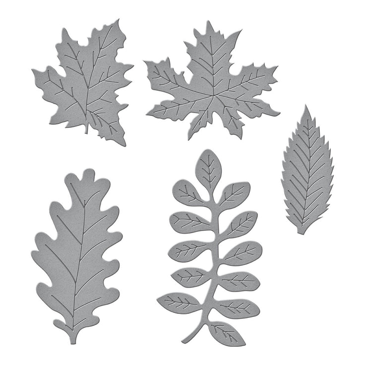Spellbinders Autumn Foliage Etched Dies - Birds & Bees Garden Collection