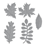 Spellbinders Autumn Foliage Etched Dies - Birds & Bees Garden Collection