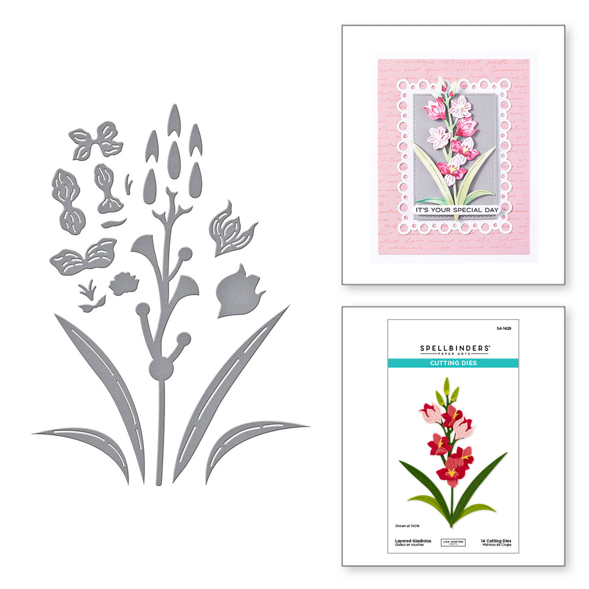 Spellbinders Layered Gladiolus Etched Dies from the Wildflowers Collection by Lisa Horton
