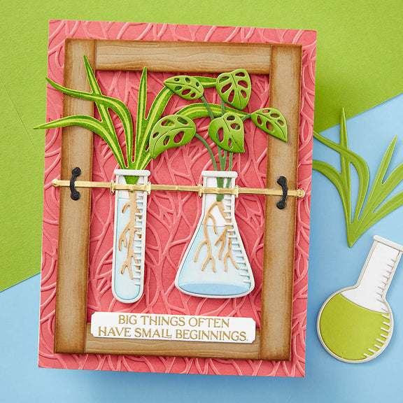 Spellbinders Propagated Plants Etched Dies - Propagation Garden Collection by Annie Williams