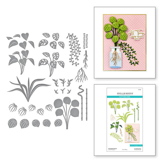 Spellbinders Propagated Plants Etched Dies - Propagation Garden Collection by Annie Williams