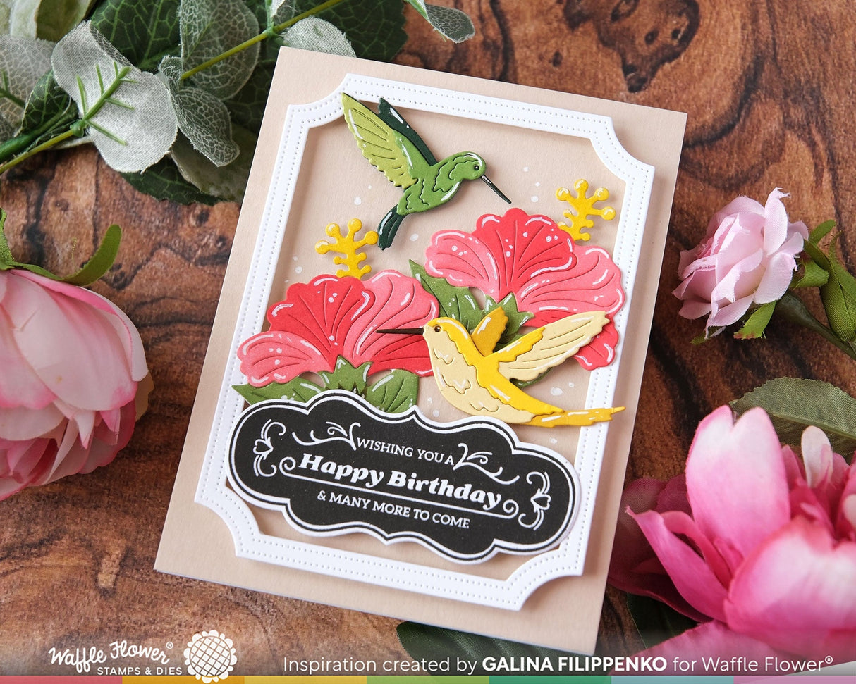 Waffle Flower Hummingbirds Die