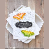 Waffle Flower Vintage Label 1 Inverted Stamp Set
