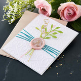 Spellbinders Sealed Squiggles Etched Dies - Sealed by Spellbinders Collection